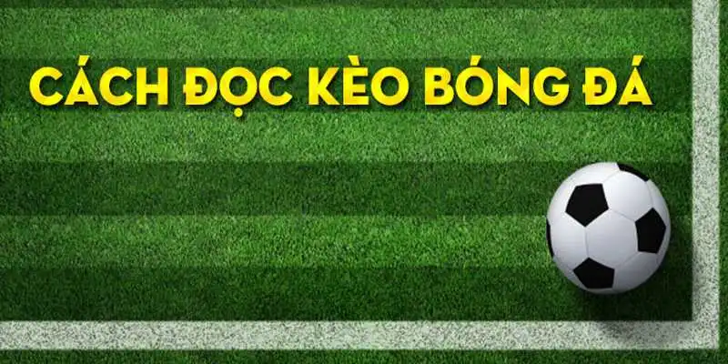 Hướng dẫn người chơi mới cách bắt kèo cược châu Âu chuẩn xác