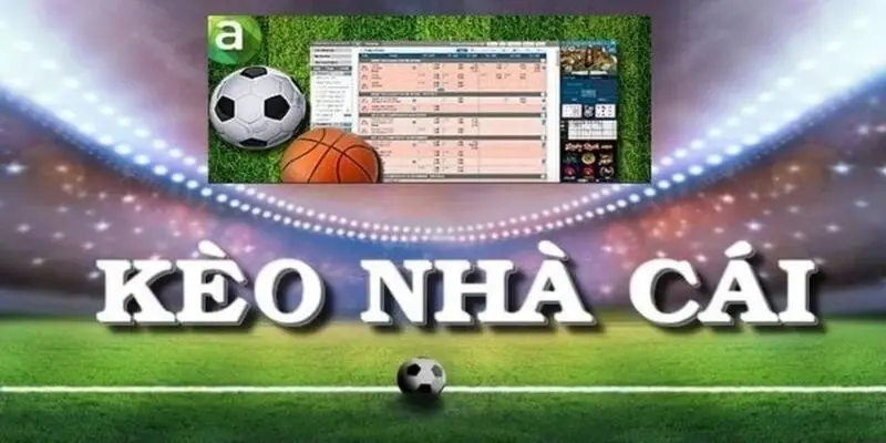 Hướng dẫn sử dụng kèo nhà cái