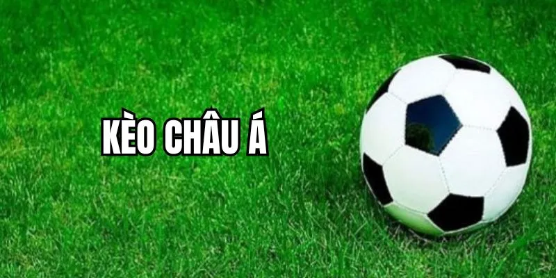 Một số thể loại kèo châu Á quen thuộc 2024