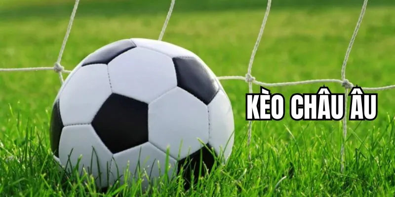 Tìm hiểu đôi nét về thể loại kèo châu Âu là gì?